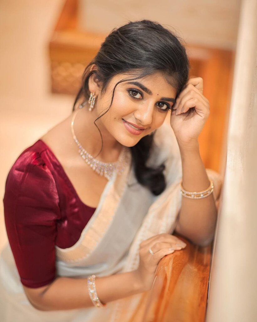 Tamil serial Actress Name